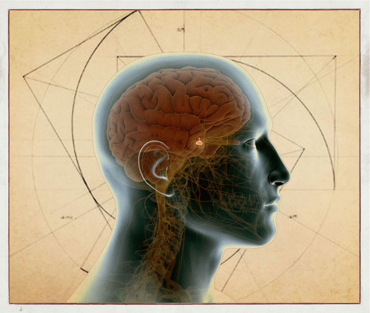 MEDITAZIONE E AUTOMATISMI MENTALI: COME IL DEFAULT MODE NETWORK INFLUENZA LE NOSTRE DECISIONI